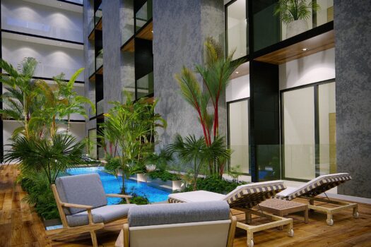 Musa del Carmen – Studio Interior