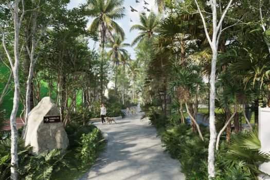 Selvareal – Residential lot 250 m2